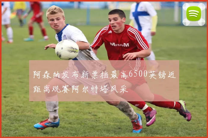 阿森纳发布新票档最高6500英镑近距离观赛阿尔特塔风采