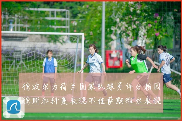 德波尔为荷兰国家队球员评分赖因德斯和科曼表现不佳萨默维尔表现最佳