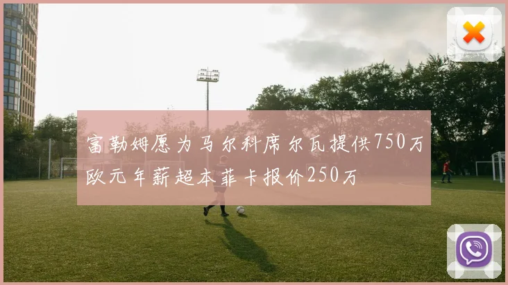 富勒姆愿为马尔科席尔瓦提供750万欧元年薪超本菲卡报价250万